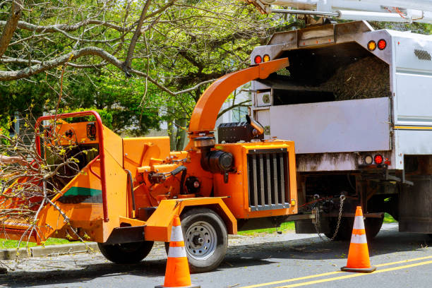 West Chicago, IL Tree Removal and Landscaping Services Company